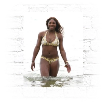 Serena Williams Metal Wall Art