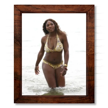 Serena Williams 14x17