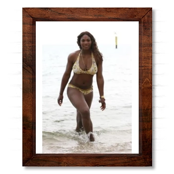 Serena Williams 14x17