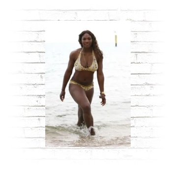 Serena Williams Poster