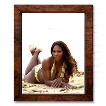 Serena Williams 14x17