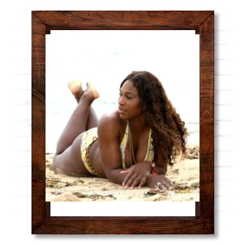 Serena Williams 14x17