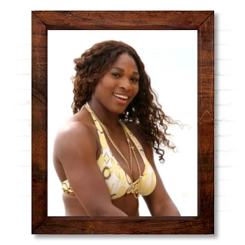 Serena Williams 14x17