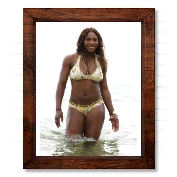 Serena Williams 14x17