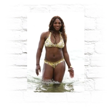 Serena Williams Metal Wall Art