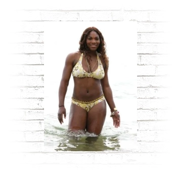 Serena Williams Poster