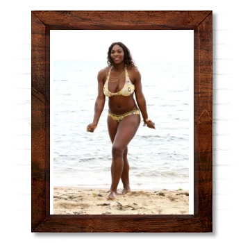 Serena Williams 14x17