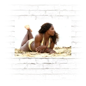 Serena Williams Poster