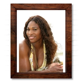 Serena Williams 14x17