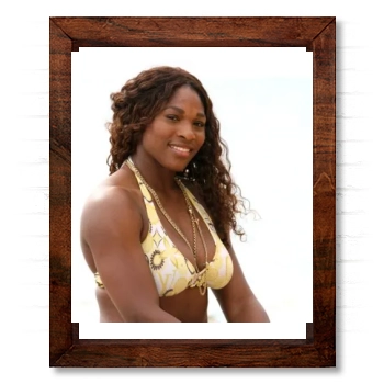 Serena Williams 14x17