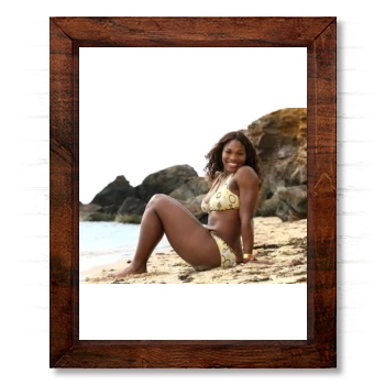 Serena Williams 14x17