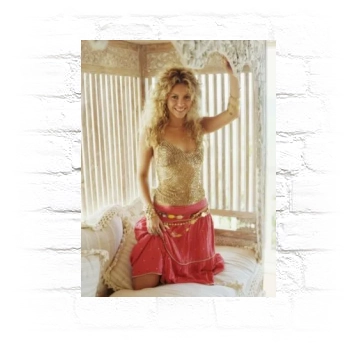 Shakira Metal Wall Art