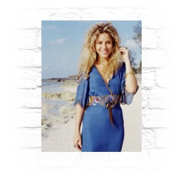 Shakira Metal Wall Art