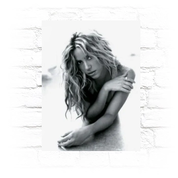 Shakira Metal Wall Art