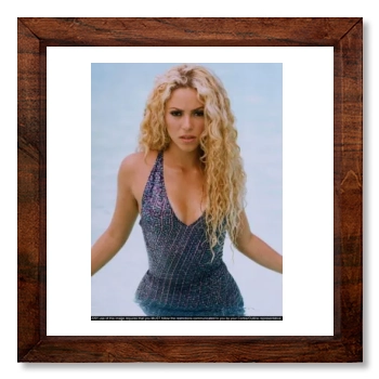 Shakira 12x12