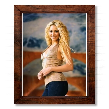 Shakira 14x17