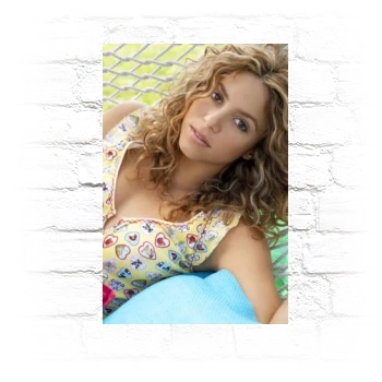 Shakira Metal Wall Art