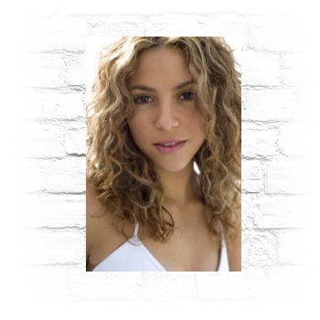 Shakira Metal Wall Art