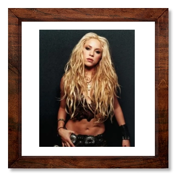 Shakira 12x12