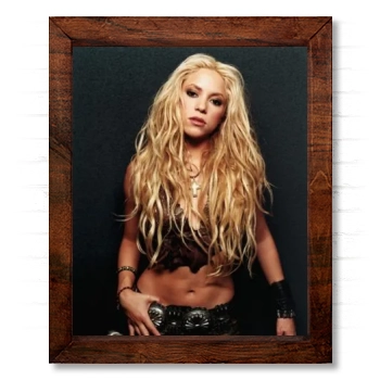 Shakira 14x17