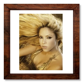 Shakira 12x12