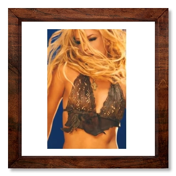 Shakira 12x12