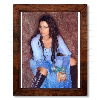 Shania Twain 14x17