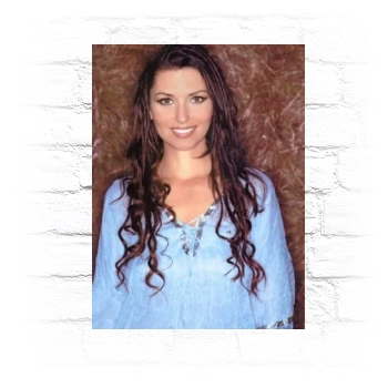 Shania Twain Metal Wall Art