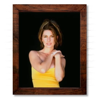 Shania Twain 14x17