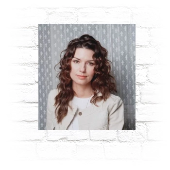 Shania Twain Metal Wall Art