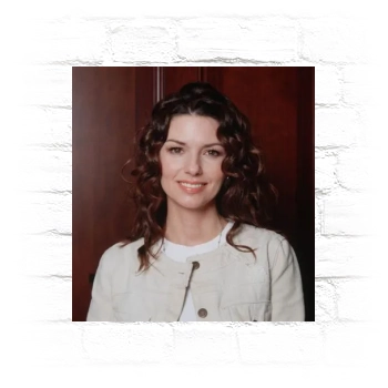 Shania Twain Metal Wall Art