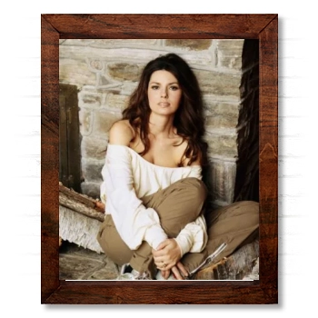 Shania Twain 14x17