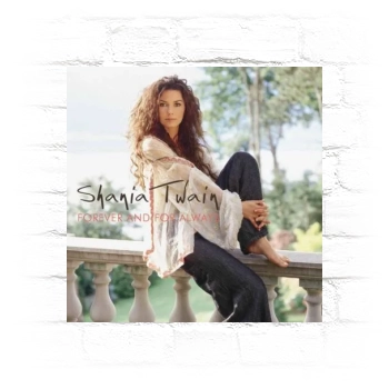 Shania Twain Metal Wall Art