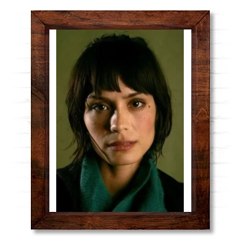 Shannyn Sossamon 14x17