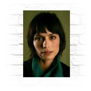 Shannyn Sossamon Metal Wall Art