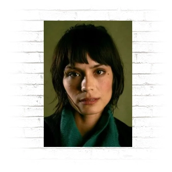 Shannyn Sossamon Poster