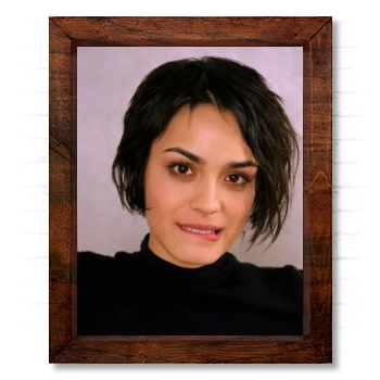 Shannyn Sossamon 14x17