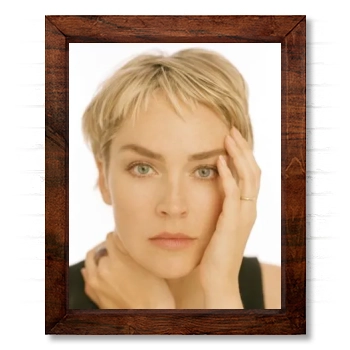 Sharon Stone 14x17