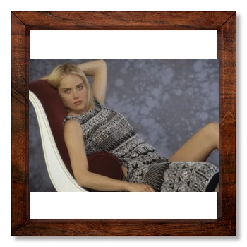 Sharon Stone 12x12