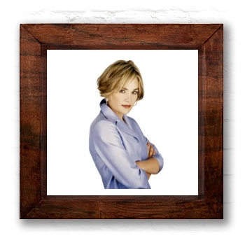 Sharon Stone 6x6