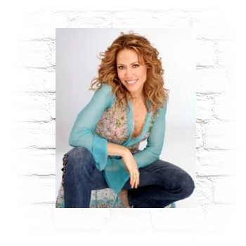 Sheryl Crow Metal Wall Art