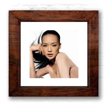 Shu Qi 6x6