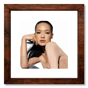 Shu Qi 12x12