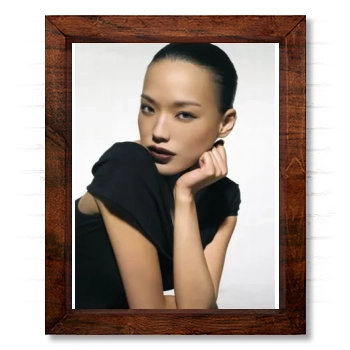 Shu Qi 14x17