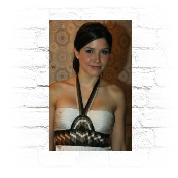 Sophia Bush Metal Wall Art