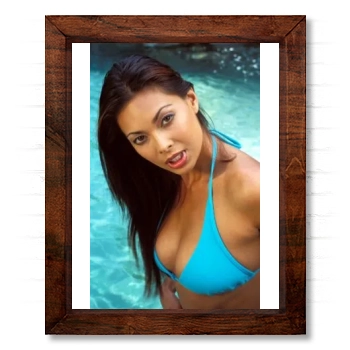 Tera Patrick 14x17