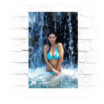 Tera Patrick Metal Wall Art