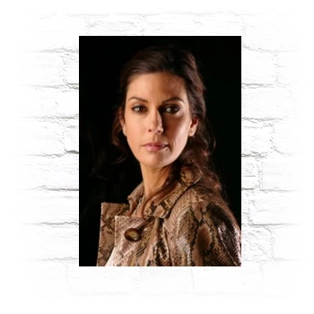 Teri Hatcher Metal Wall Art