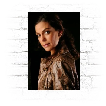 Teri Hatcher Metal Wall Art