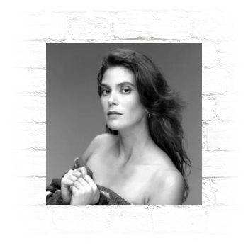 Teri Hatcher Metal Wall Art